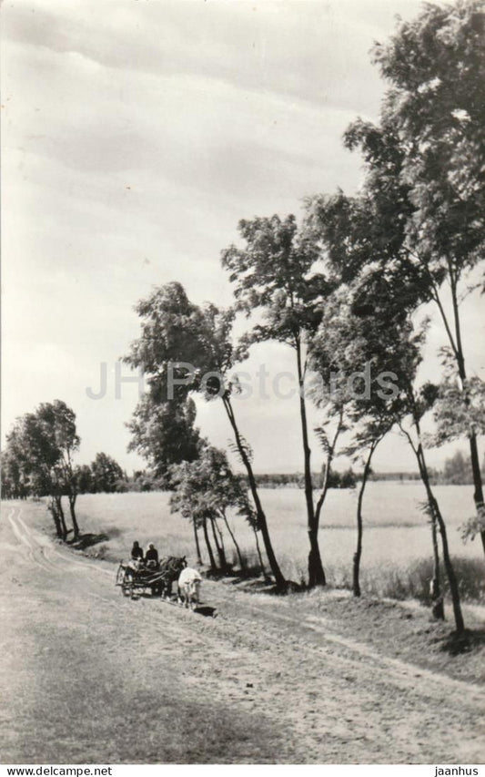 Deldunantuli taj - Southern Transdanubian landscape - rural countryside - horse cart - Hungary - used - JH Postcards