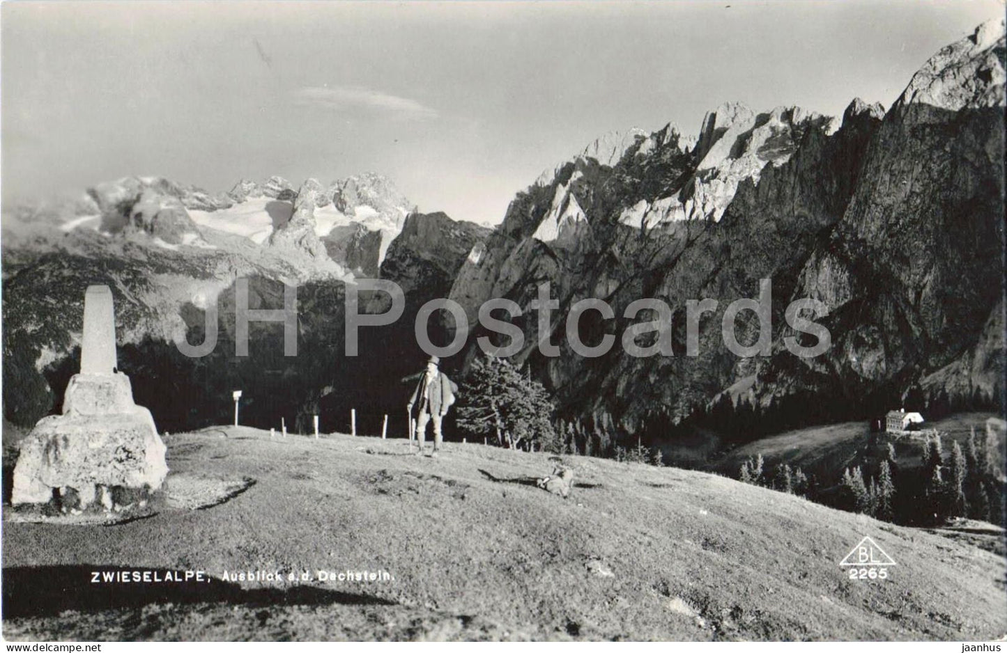Zwieselalpe - Ausblick auf den Dachstein - Hiker - mountains - No. 2265 - old postcard - 1940 - Austria - used - JH Postcards