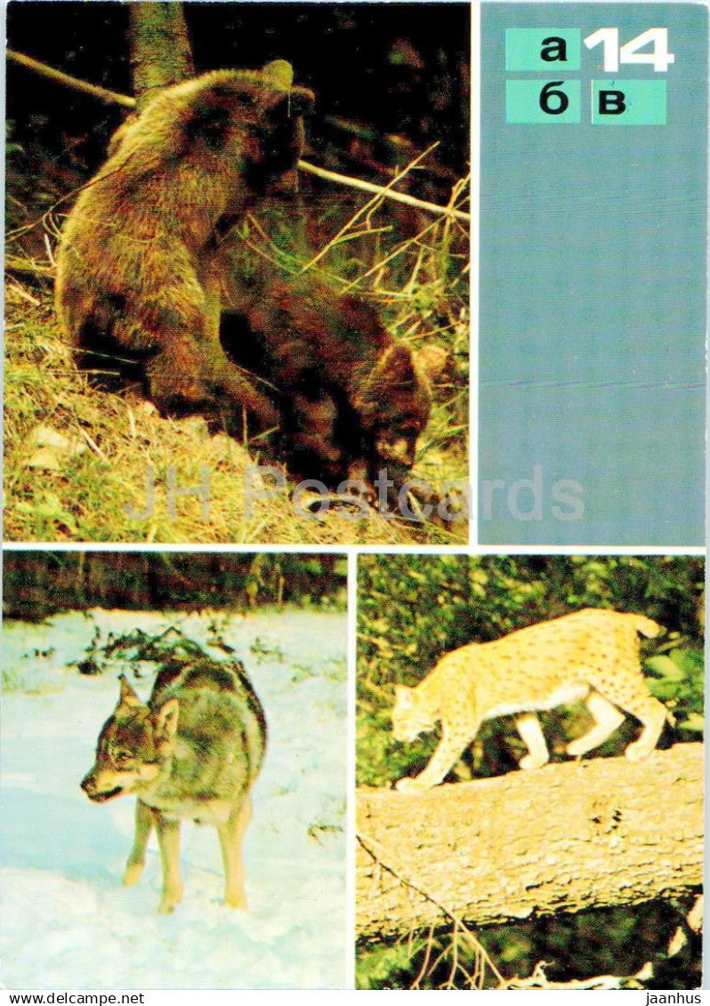 Brown bear - Wolf - Lynx - Protected Animals - Russia USSR - unused - JH Postcards