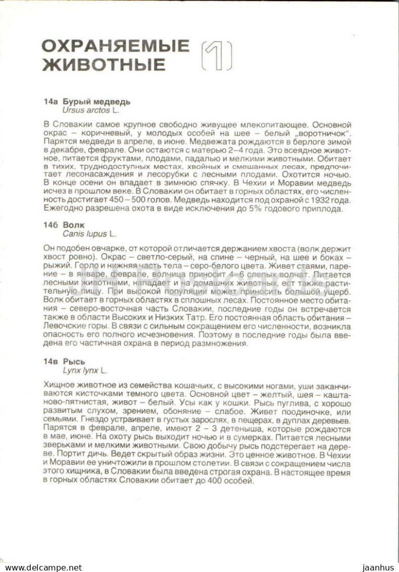 Ours brun - Loup - Lynx - Animaux protégés - Russie URSS - non utilisé 