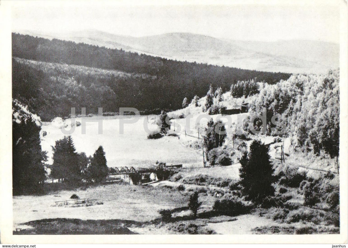Bieletal bei Ziegenhals OS. - Bieletal Valley near Glucholazy - Schlesien - Silesia - old postcard - Poland - unused - JH Postcards