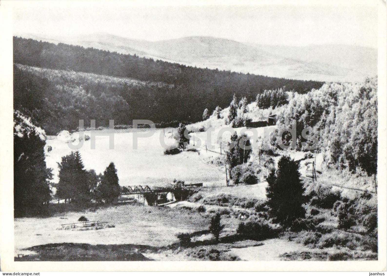 Bieletal bei Ziegenhals OS. - Bieletal Valley near Glucholazy - Schlesien - Silesia - old postcard - Poland - unused - JH Postcards