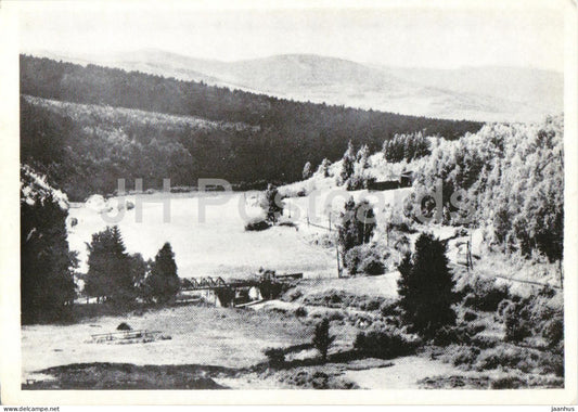 Bieletal bei Ziegenhals OS. - Bieletal Valley near Glucholazy - Schlesien - Silesia - old postcard - Poland - unused - JH Postcards