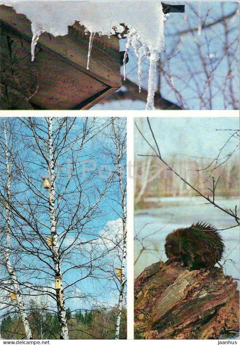 Seasons - Spring - icicles - birch trees with nest boxes - beaver - animals - 1984 - Russia USSR - unused - JH Postcards