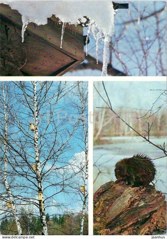 Seasons - Spring - icicles - birch trees with nest boxes - beaver - animals - 1984 - Russia USSR - unused - JH Postcards