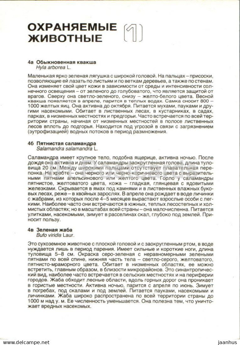 European tree frog - Fire salamander - European green toad - frog - Protected Animals - Russia USSR - unused