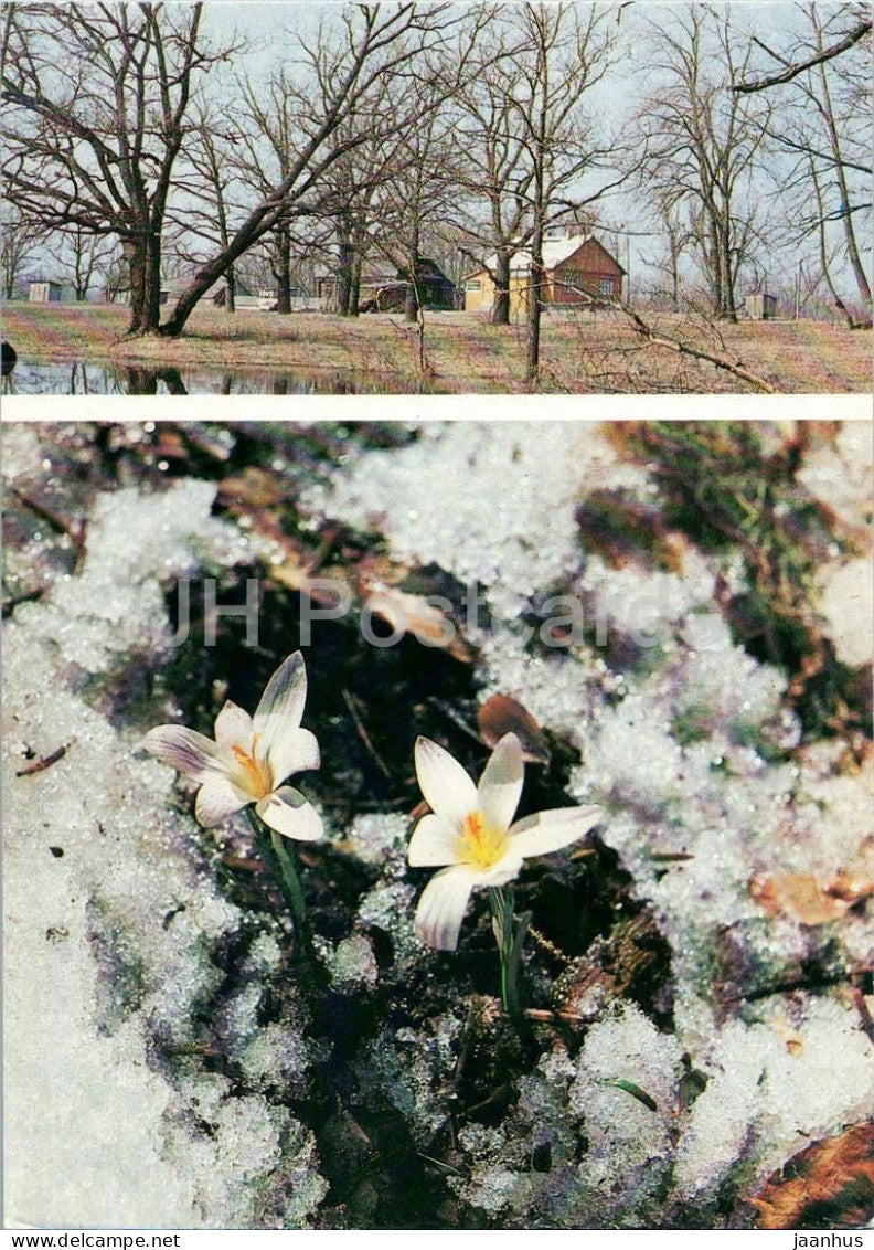 Seasons - Spring - village house - crocus flowers - snowmelt - 1984 - Russia USSR - unused - JH Postcards