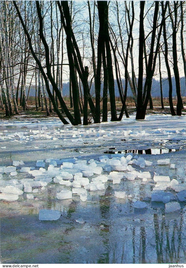Seasons - Spring - forest - ice - melting river - 1984 - Russia USSR - unused - JH Postcards