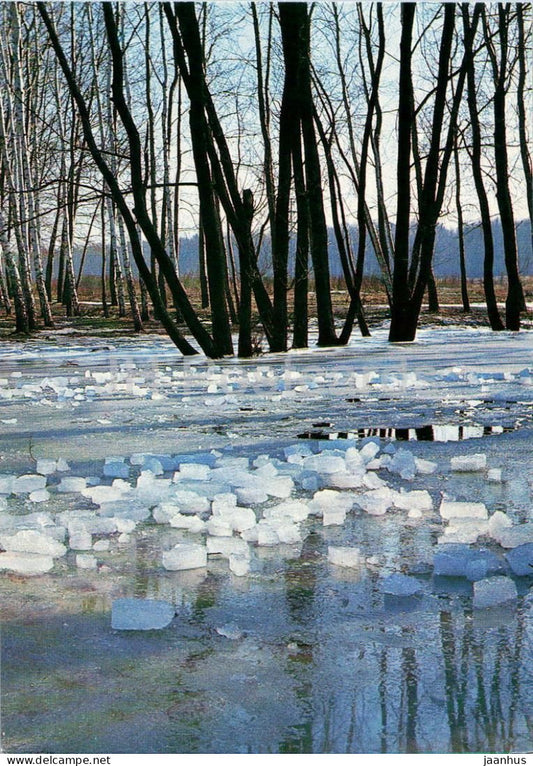 Seasons - Spring - forest - ice - melting river - 1984 - Russia USSR - unused - JH Postcards