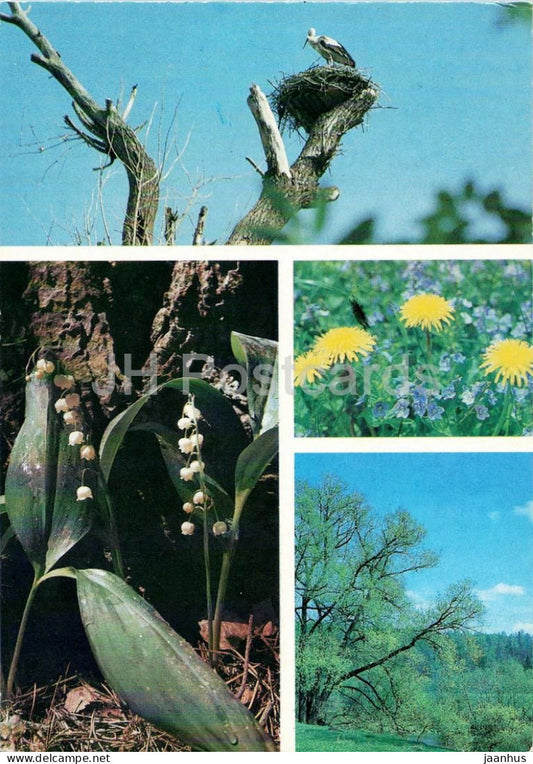 Seasons - Spring - stork nest - lilies of the valley - dandelions - landscape birds flowers 1984 - Russia USSR - unused - JH Postcards
