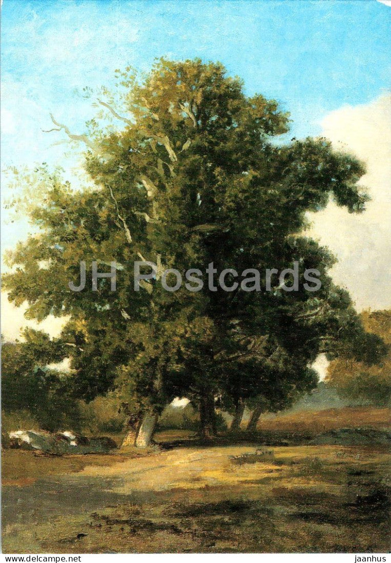 Auguste Anastasi - Study of a Tree from Nature - painting - French art - art postcard - 1980s - France - unused - JH Postcards