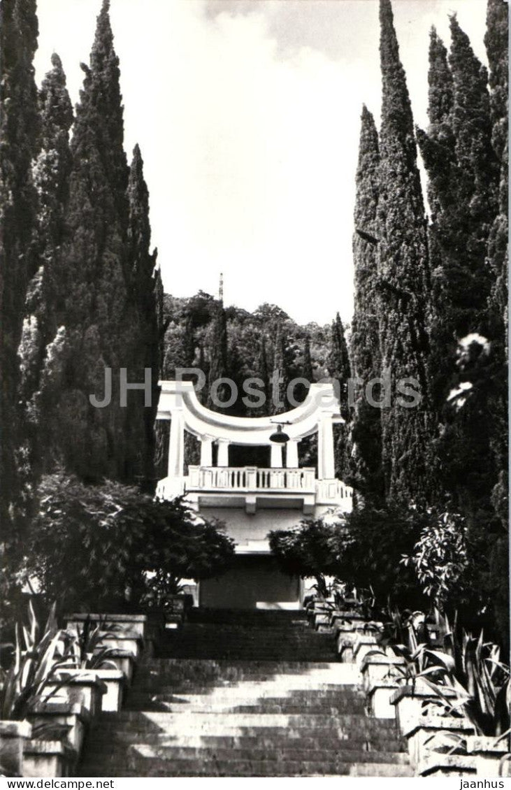 Gagra - Stairs to the Ukraina Sanatorium lift - cypress trees - 1964 - Georgia - USSR - used - JH Postcards