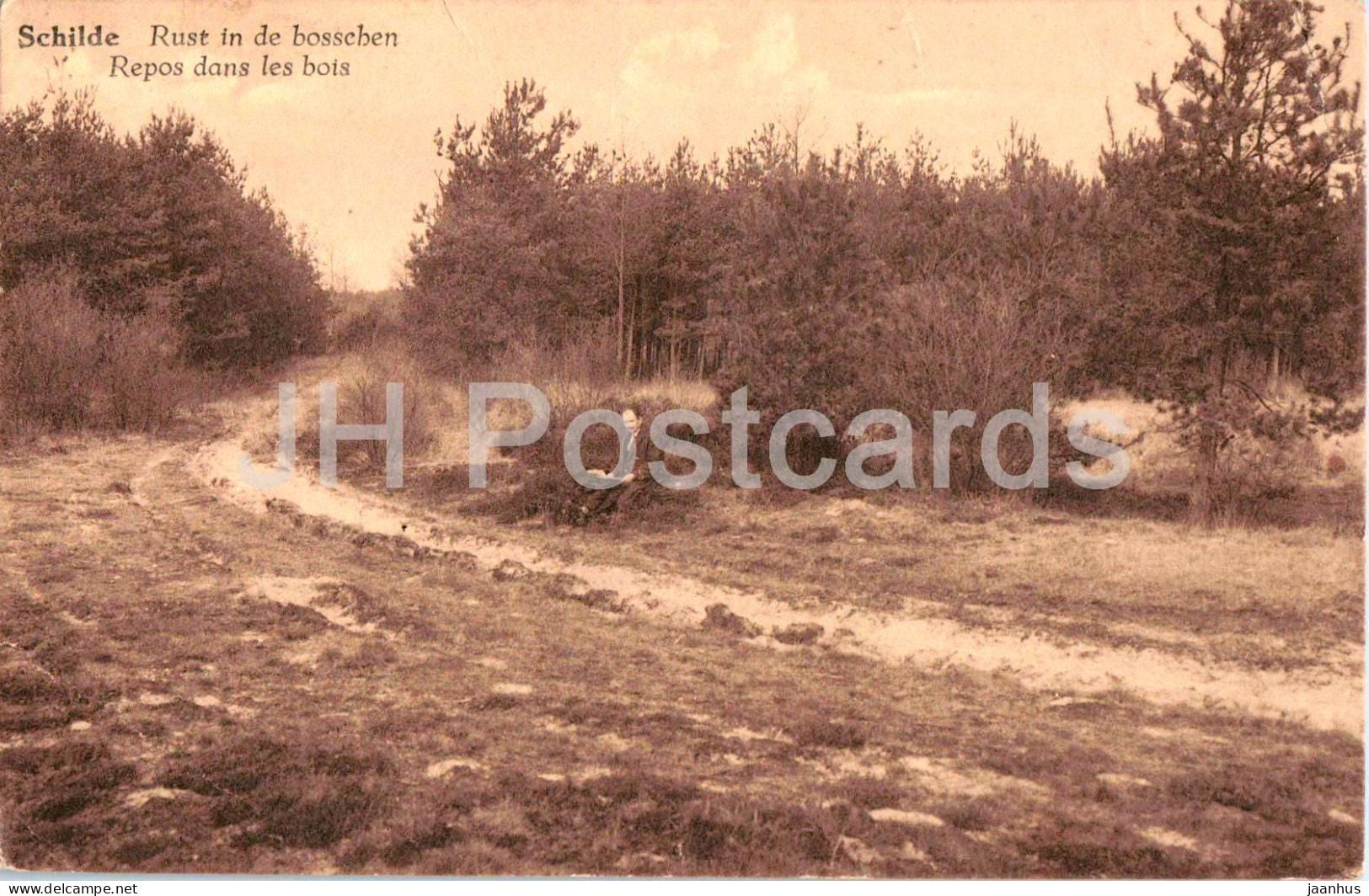 Schilde - Rust in de bosschen - Repos dans les bois - Rest in the Woods - old postcard - Belgium - used - JH Postcards