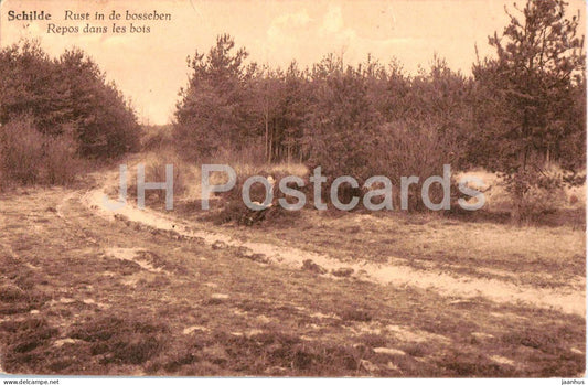 Schilde - Rust in de bosschen - Repos dans les bois - Rest in the Woods - old postcard - Belgium - used - JH Postcards