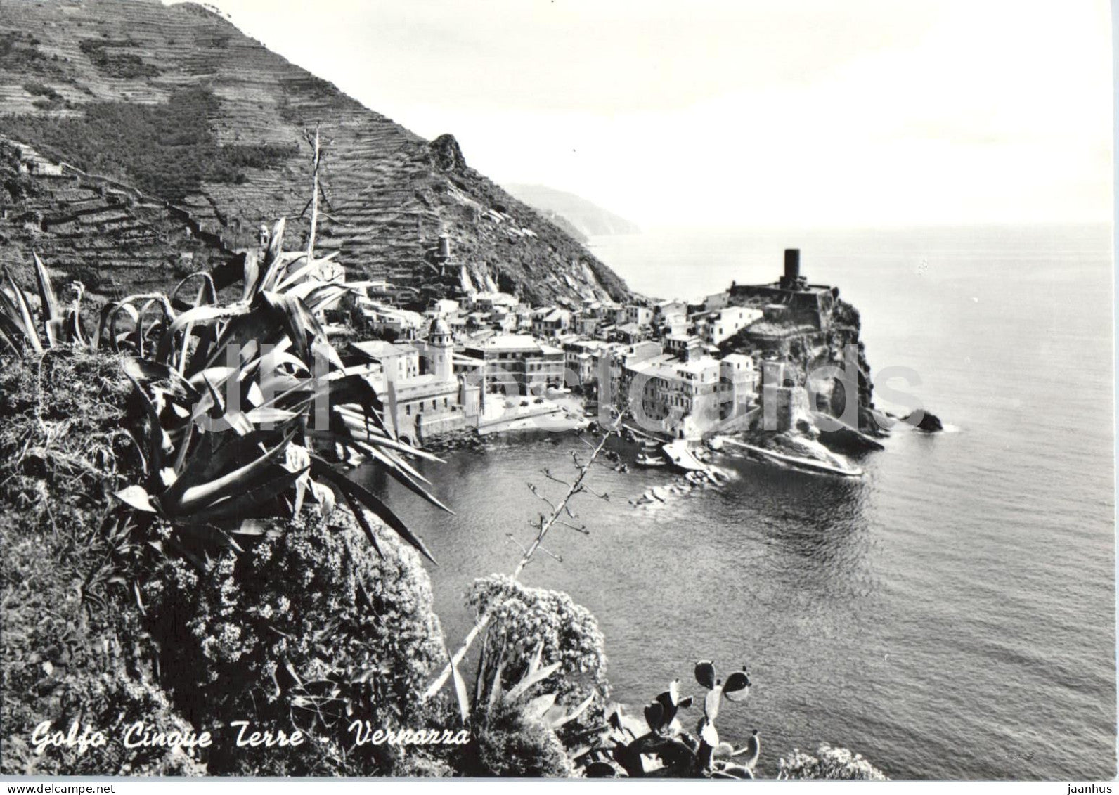 Golfo Cinque Terre - Vernazza - Riviera Ligure di Levante - seaside - Liguria - 53 - old postcard - Italy - unused - JH Postcards