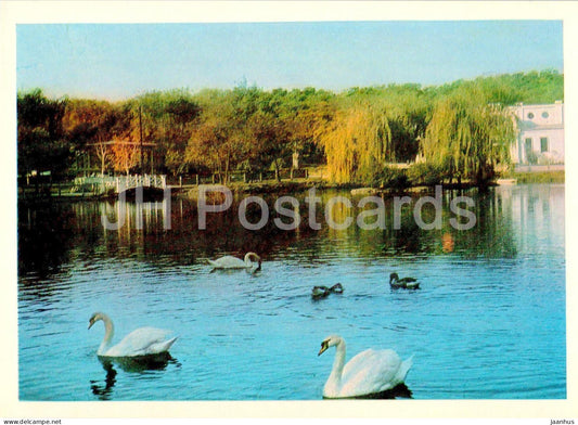 Odessa - Odesa - lake in the Victory park - swan - birds - 1970 - Ukraine USSR - unused - JH Postcards