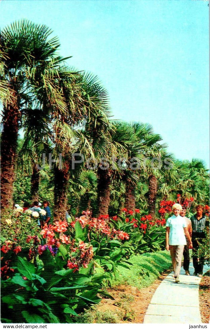 Nikitsky Botanical Garden - Palm Alley - 1976 - Ukraine USSR - unused - JH Postcards