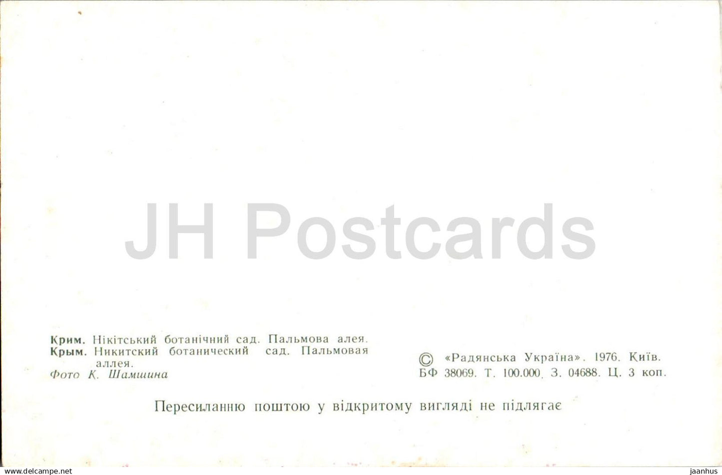 Jardin botanique Nikitsky - Allée des palmiers - 1976 - Ukraine URSS - inutilisé 
