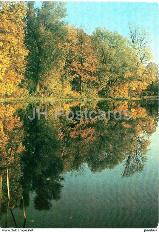 Seasons - Autumn - autumn forest reflected in water - 1984 - Russia USSR - unused - JH Postcards