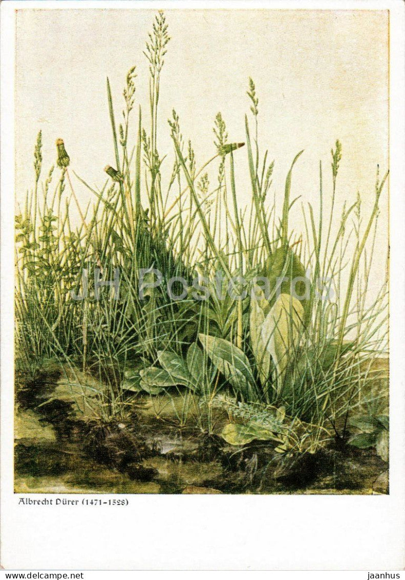 watercolor by Albrecht Durer - The Great Piece of Turf - Grosses Grasbuschel - old postcard - 1930s - Germany - unused - JH Postcards