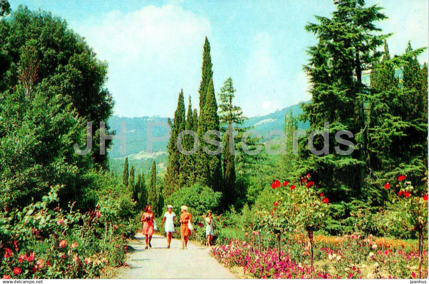 Nikitsky Botanical Garden - Alley of pyramidal cypresses in the Upper Park - 1976 - Ukraine USSR - unused - JH Postcards