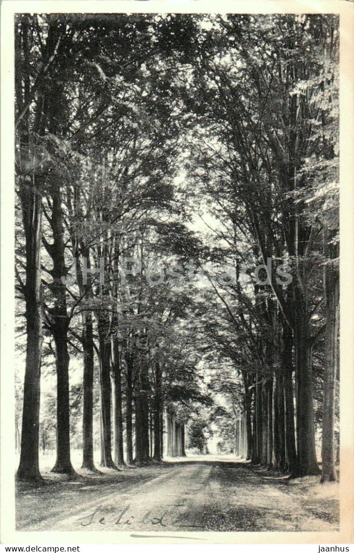 Schilde - Kasteeldreef - Castle Avenue - old postcard - Belgium - used - JH Postcards
