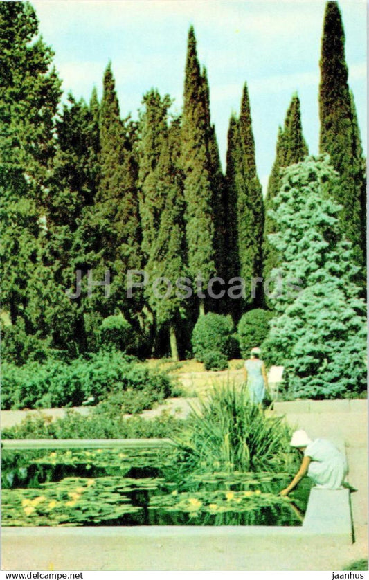 Nikitsky Botanical Garden - Silver fir from North America - Crimea - 1968 - Ukraine USSR - unused - JH Postcards
