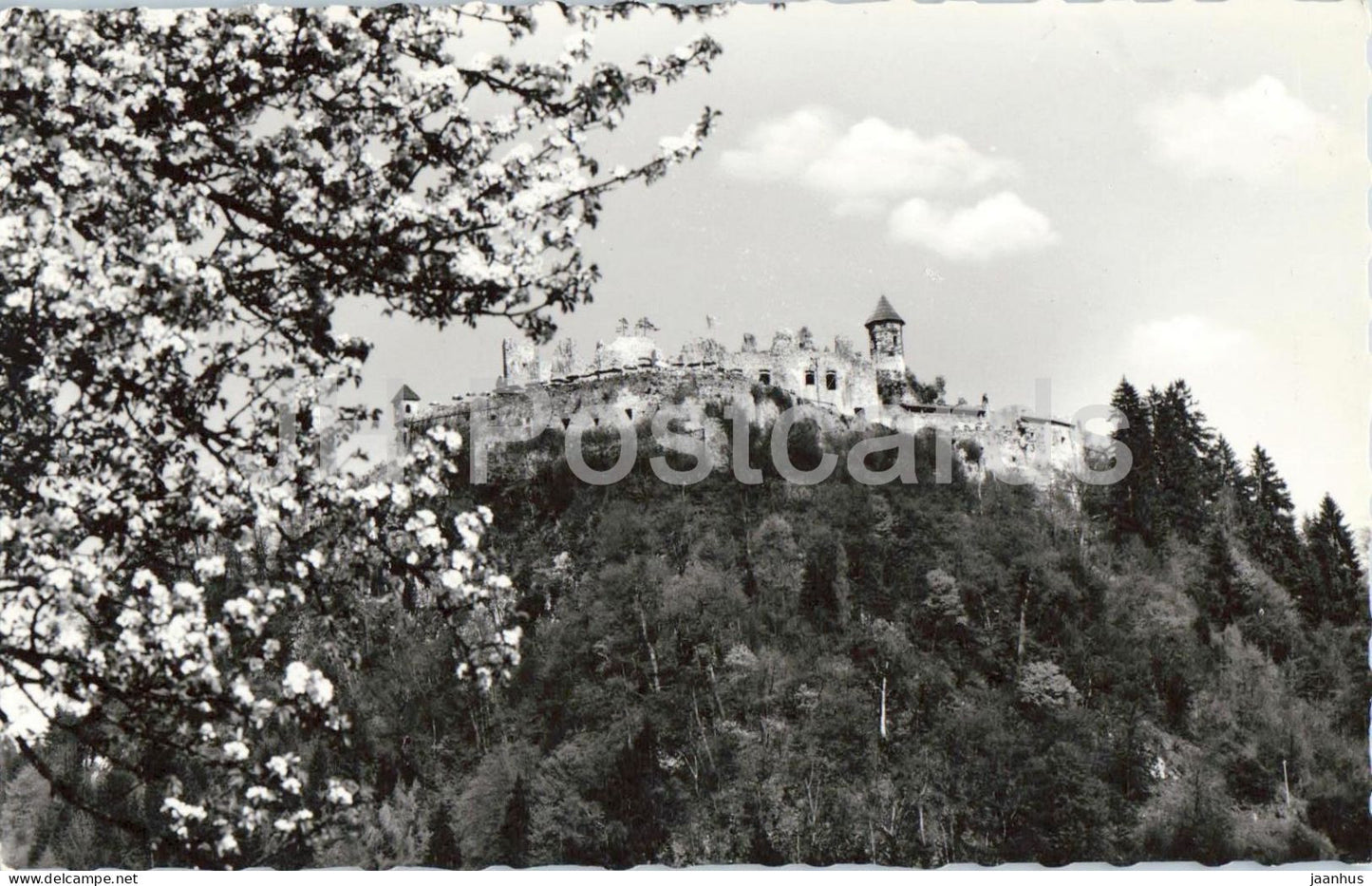 Ruine Landskron bei Villach - castle ruins - hilltop - historic monument - old postcard - Austria - unused - JH Postcards