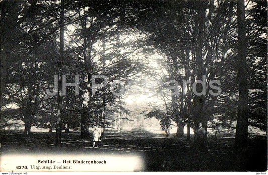 Schilde - Het Bladerenbosch - The Leaf Forest - old postcard - 1911 - Belgium - used - JH Postcards