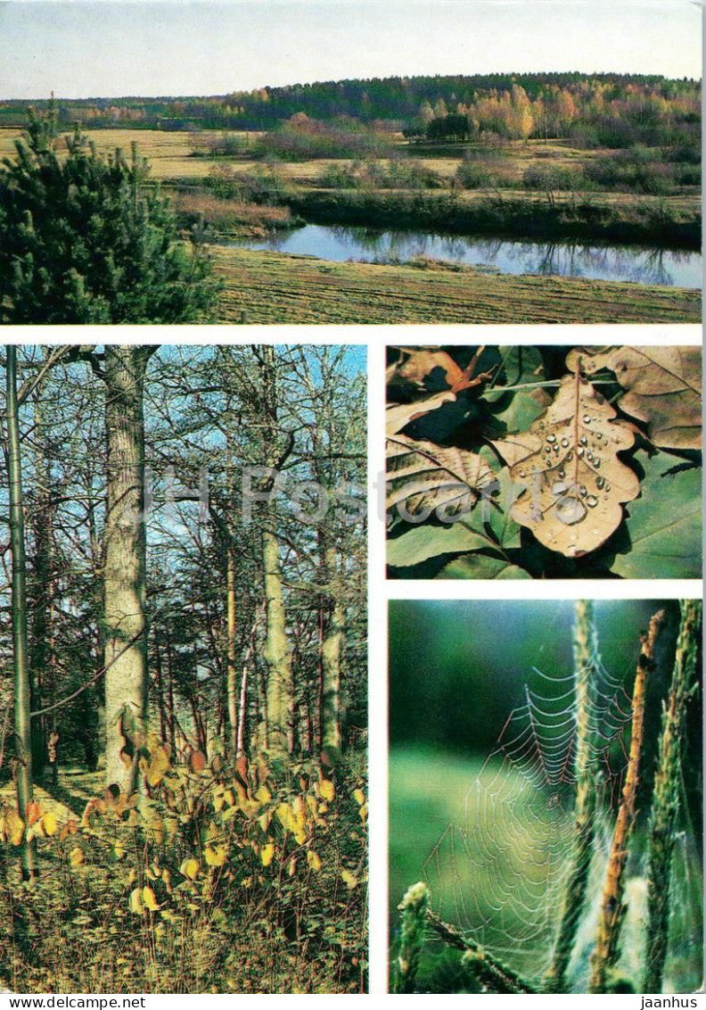 Seasons - Autumn - autumn fields - forest - leaves with dew - spiderweb - 1984 - Russia USSR - unused - JH Postcards