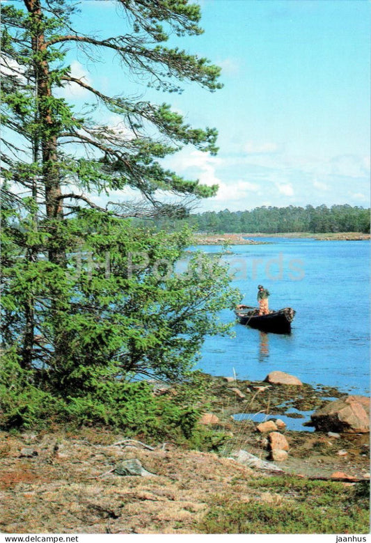 Solovetsky Islands - Sosnovaya bay - seaweed collection - boat - Turist - Russia - unused - JH Postcards