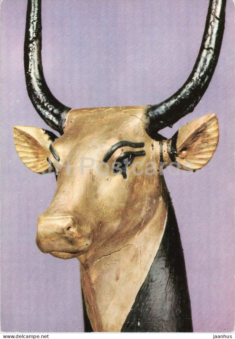 Head of the Sacred Cow - Tutankhamun - cow - Egyptian art - ancient world - 1963 - Italy - unused - JH Postcards