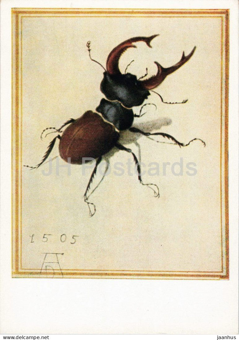 drawing by Albrecht Durer - Hirschkafer - European stag beetle - insect - German art - 526 - Germany - unused - JH Postcards