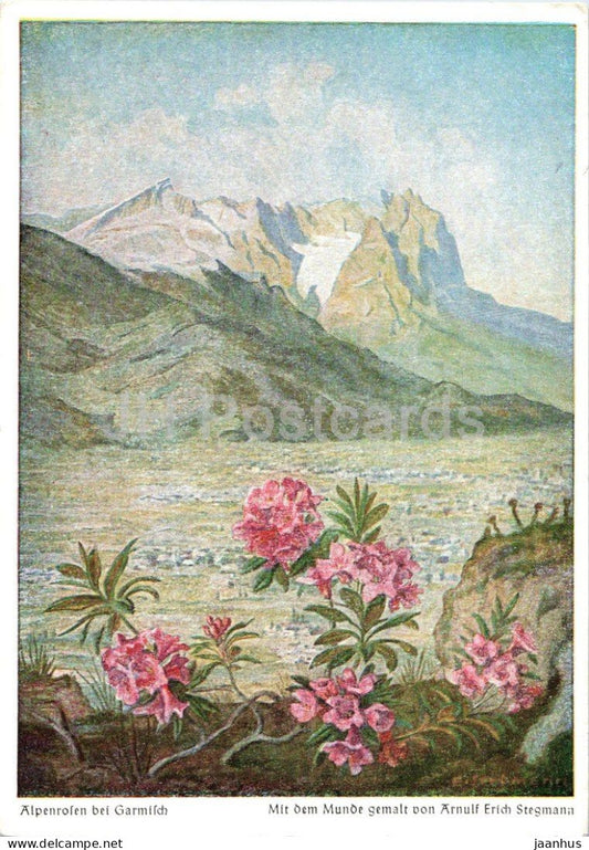 painting by Arnulf Erich Stegmann - Alpine Roses near Garmisch - German art - old postcard - 1955 - Germany - used - JH Postcards