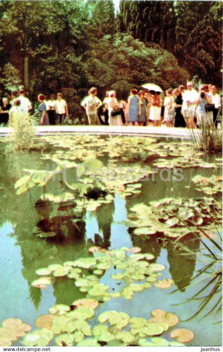 Nikitsky Botanical Garden - Nenuphars in a man made lake - Crimea - 1968 - Ukraine USSR - unused - JH Postcards