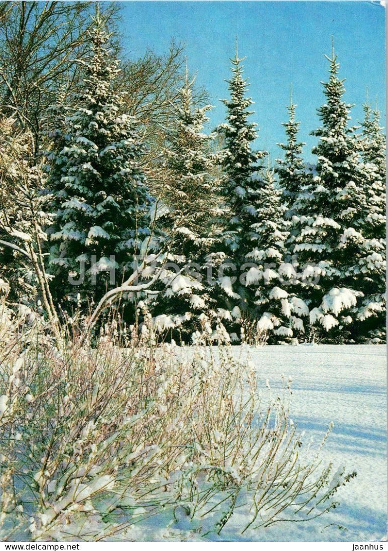 Seasons - Winter - snowy spruce forest - 1984 - Russia USSR - unused - JH Postcards