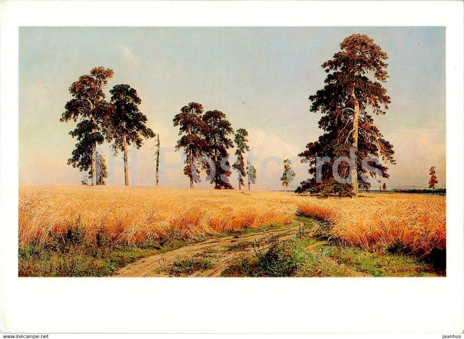 painting by I. Shishkin - Rye - Russian art - 1983 - Russia USSR - unused - JH Postcards