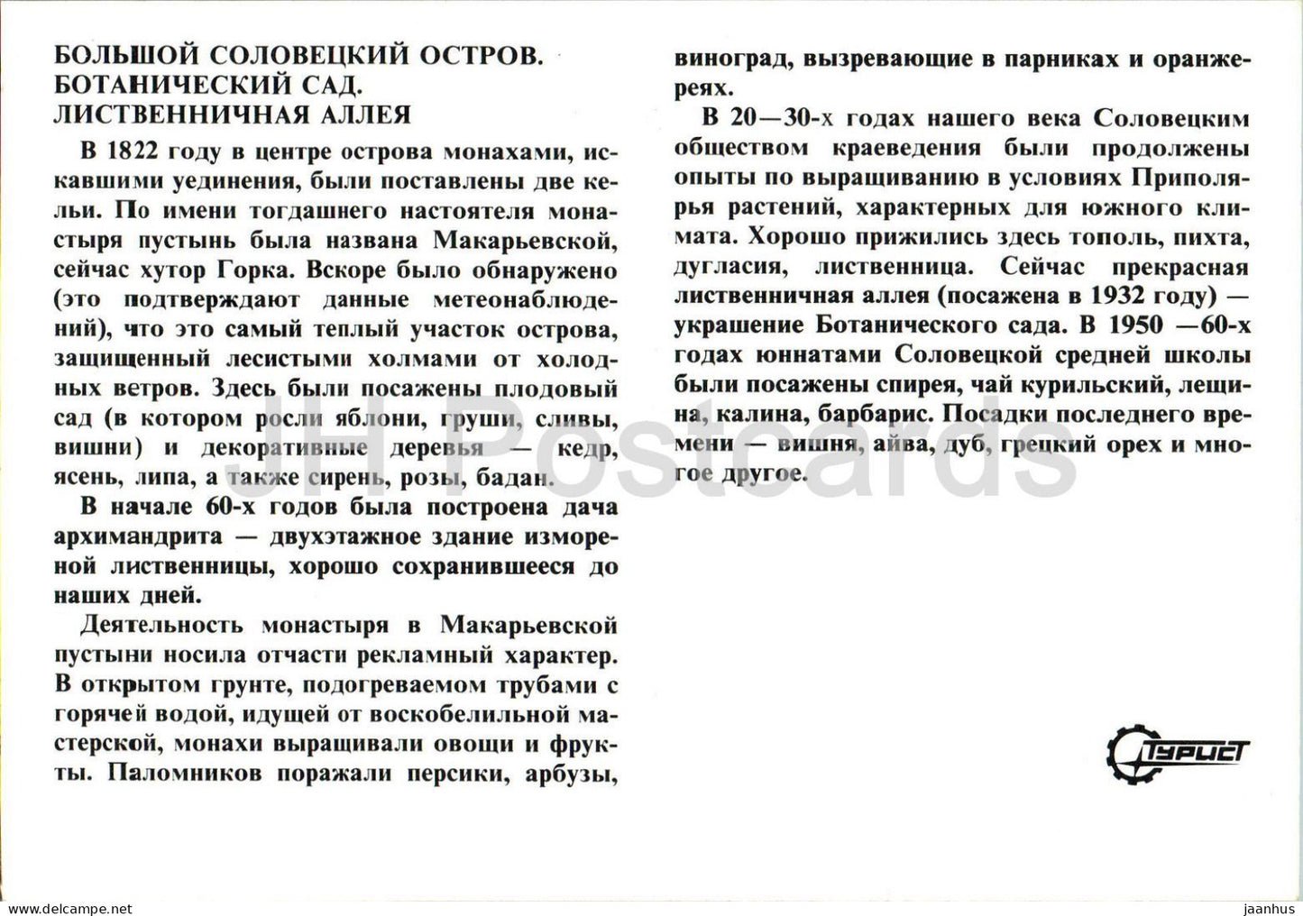 Solovetsky Islands - botanical garden - Larch Alley - Turist - Russia - unused