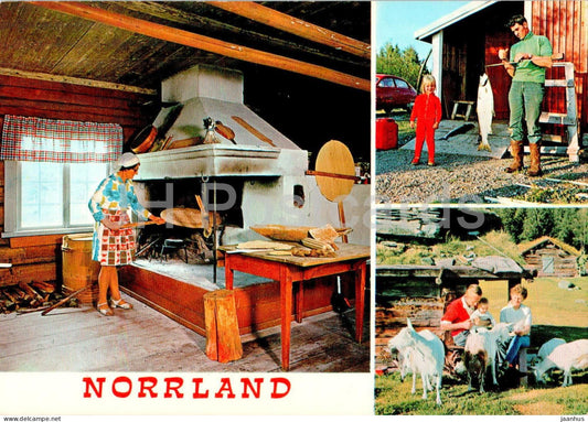 Norrland - Fargernas Land - baking - fish - goat - multiview - 999-2 - Sweden - unused - JH Postcards