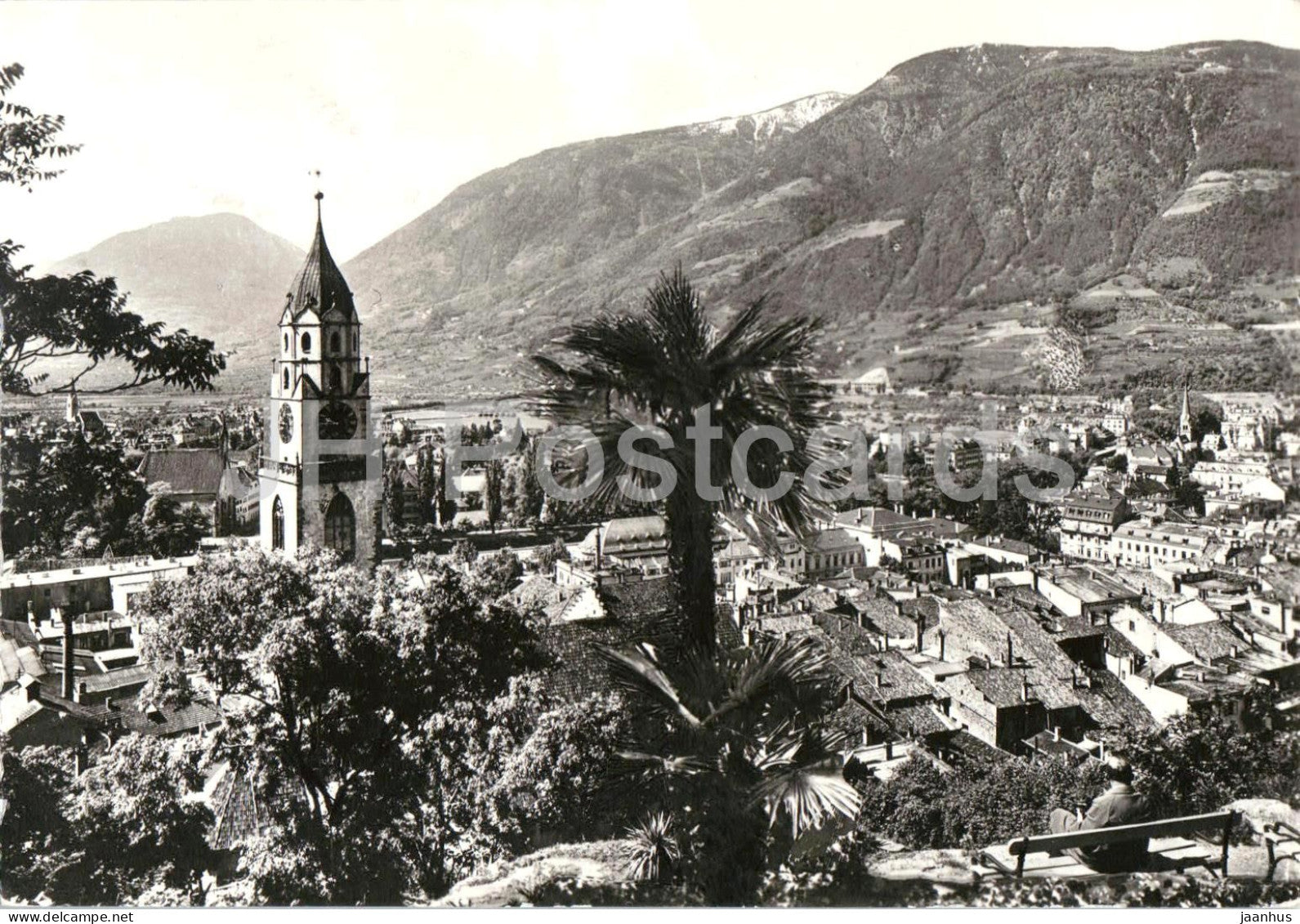 Luogo di Cura Merano - Kurort Meran - spa town - panorama - palm trees - Alps - mountains - 1966 - Italy - used - JH Postcards