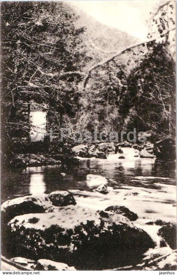 Ursprung v. Bad Muhlacken - mountain river - old postcard - Austria - used - JH Postcards