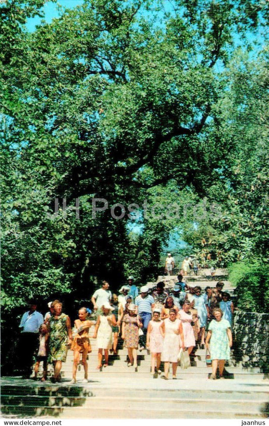 Nikitsky Botanical Garden - passage to the Lower park - Crimea - 1974 - Ukraine USSR - unused - JH Postcards