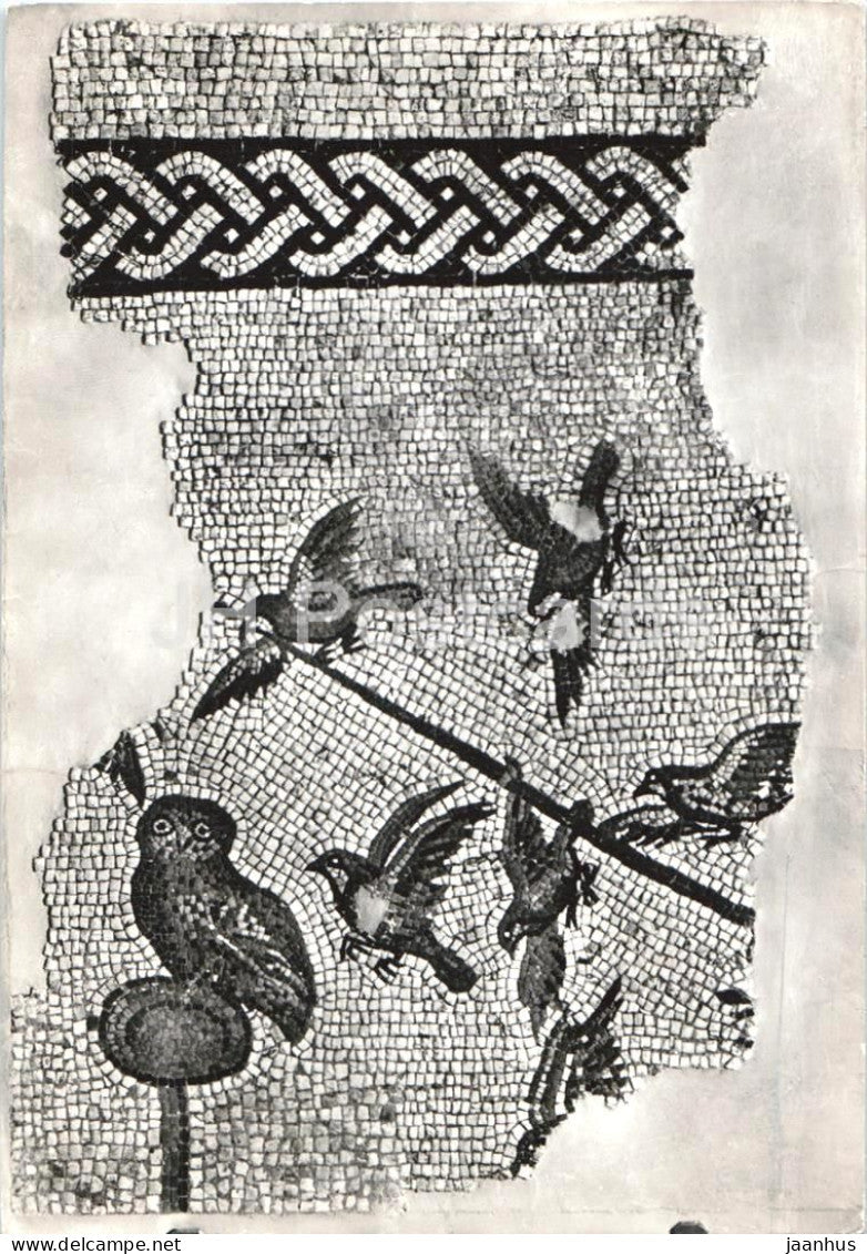 Oderzo - Mosaico pavimentale Sec. III-IV Uccellagione con la civetta Bird hunting with the owl 13 - 1970 - Italy - used - JH Postcards