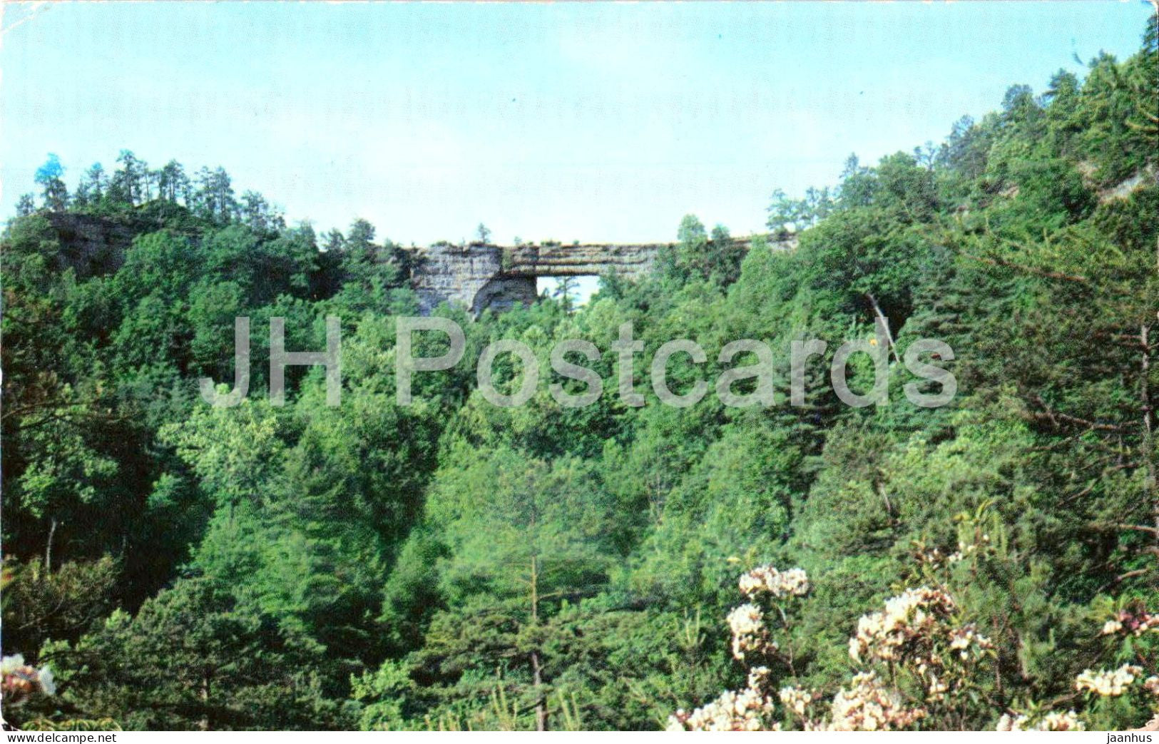 Natural Bridge in May with Mountain Laurel in bloom - Natural Bridge State Park - Slade - Kentucky - 1981 - USA - used - JH Postcards