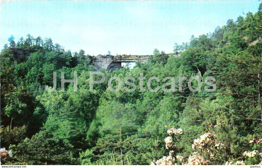 Natural Bridge in May with Mountain Laurel in bloom - Natural Bridge State Park - Slade - Kentucky - 1981 - USA - used - JH Postcards
