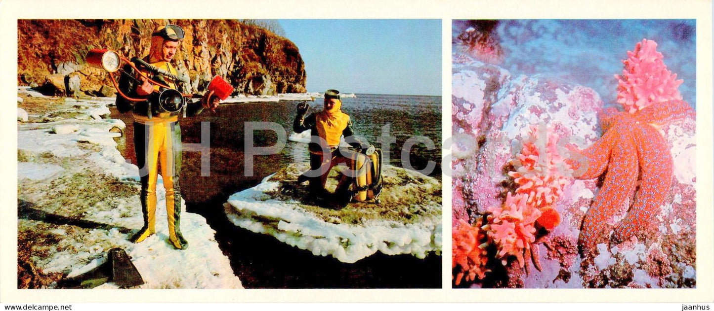 Vladivostok - ocean explorers - undersea world - starfish - scuba - 1981 - Russia USSR - unused - JH Postcards