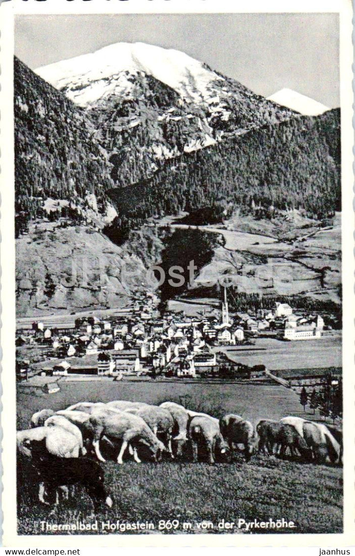 Thermalbad Hofgastein - 869 m von der Pyrkerhohe - animals - sheep - mountains - old postcard - 1958 - Austria - used - JH Postcards