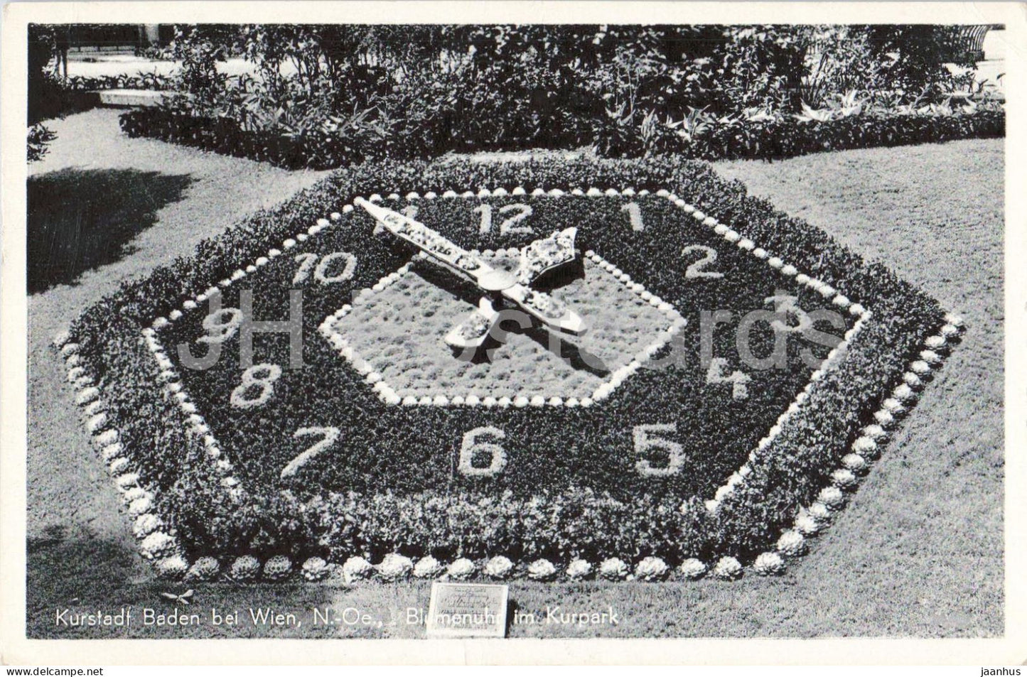 Kurstadt Baden bei Wien - Blumenuhr im Kurpark - old postcard - 45511 - Austria - unused - JH Postcards