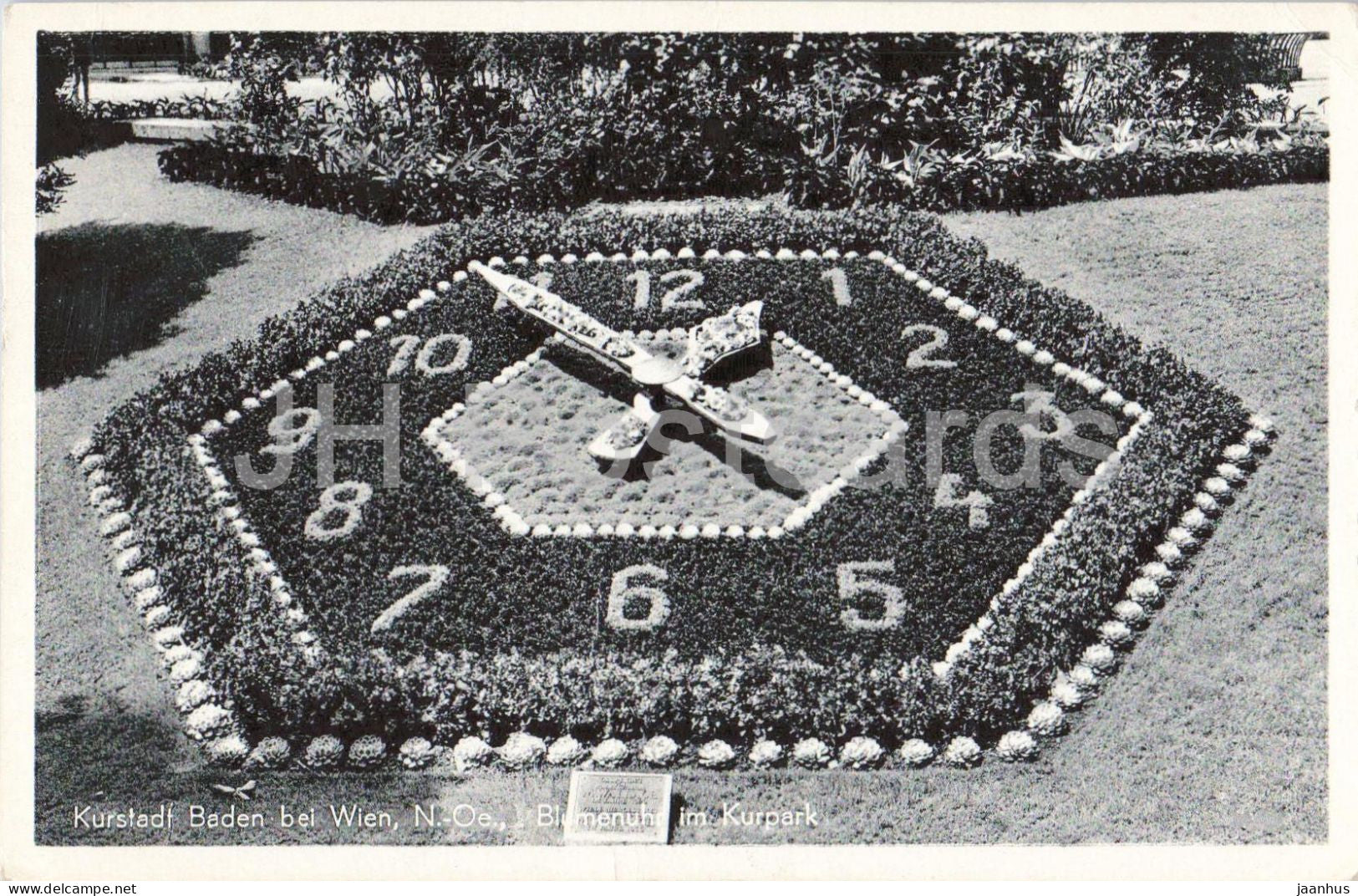 Kurstadt Baden bei Wien - Blumenuhr im Kurpark - old postcard - 45511 - Austria - unused - JH Postcards