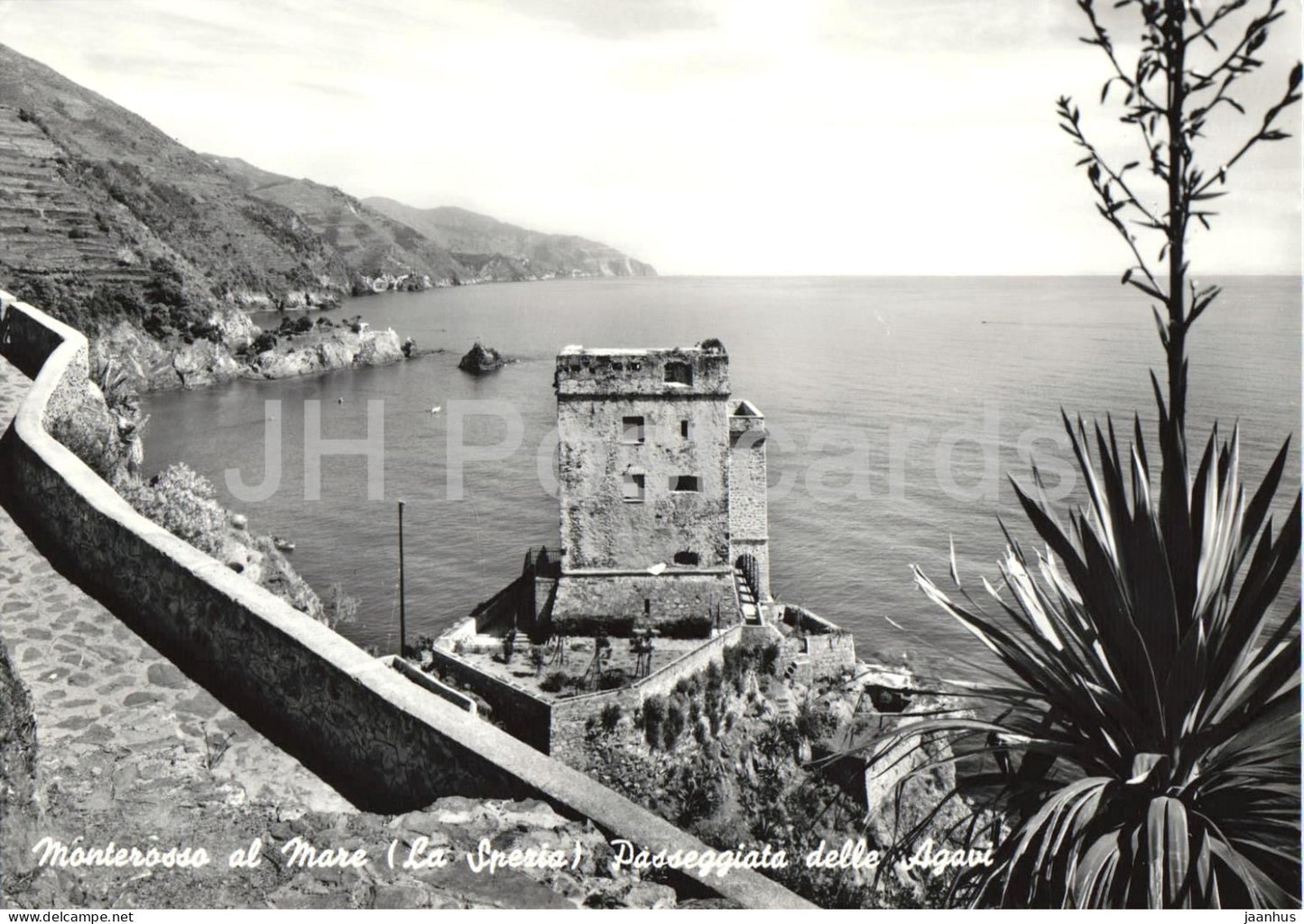 Riviera Ligure di Levante - Monterosso al Mare - La Spezia - Panorama - Passeggiata - 37 - old postcard - Italy - unused - JH Postcards